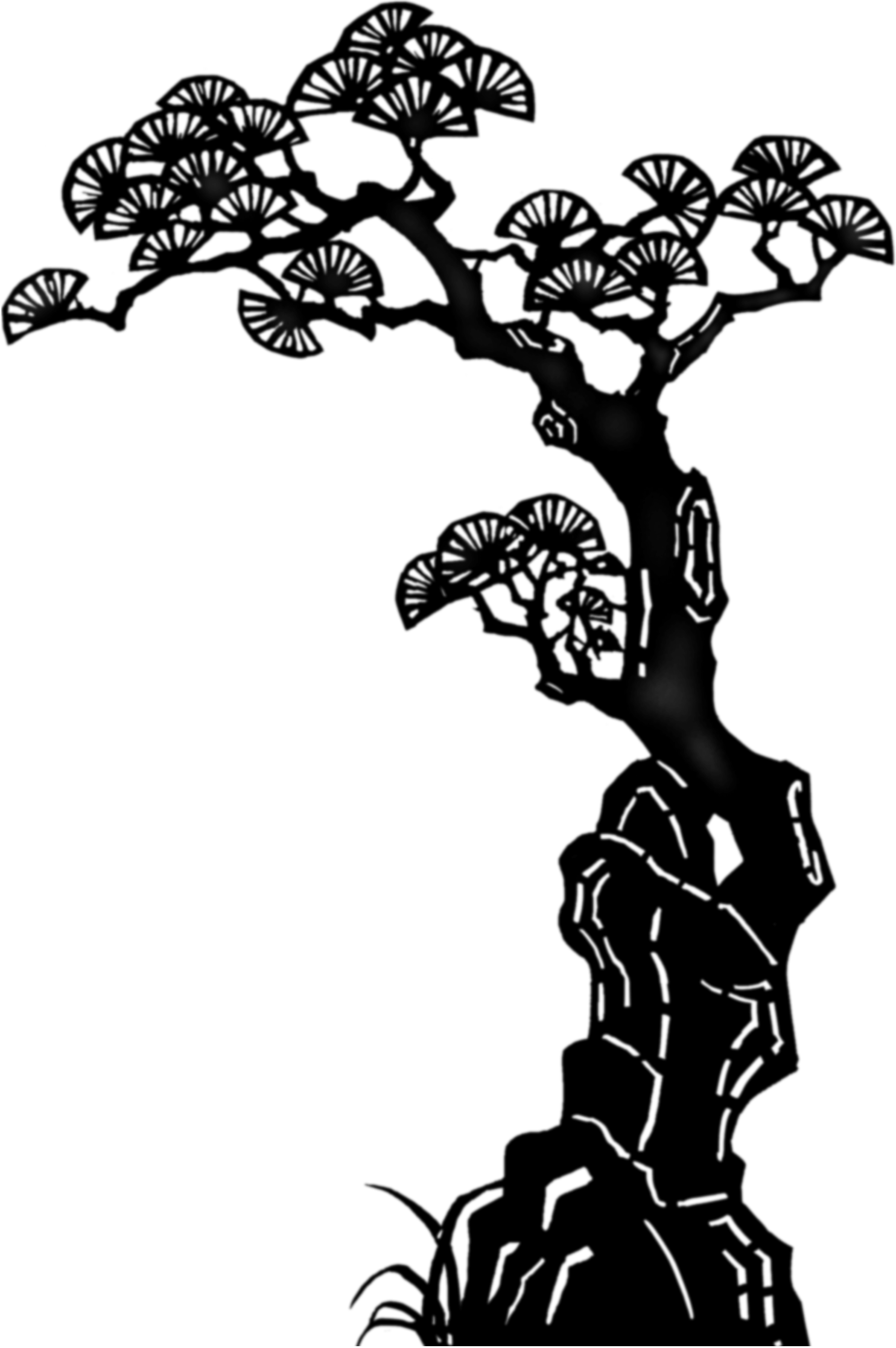 树